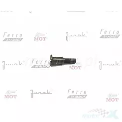 śruba (specjalna) m6x37 mocowania dźwigni sprzęgła (rs125)