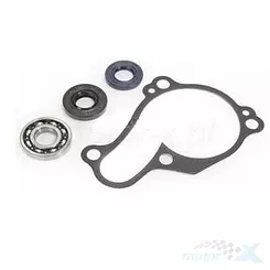 Zestaw naprawczy pompy wody Bearing Worx WMK90008 (WPK0029)