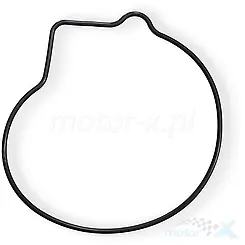 Uszczelka obudowy pompy wody QJMotor 270066030010