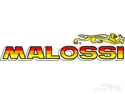 Malossi